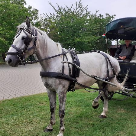 Vadaspuszta Vendeghaz Csatka Esterno foto
