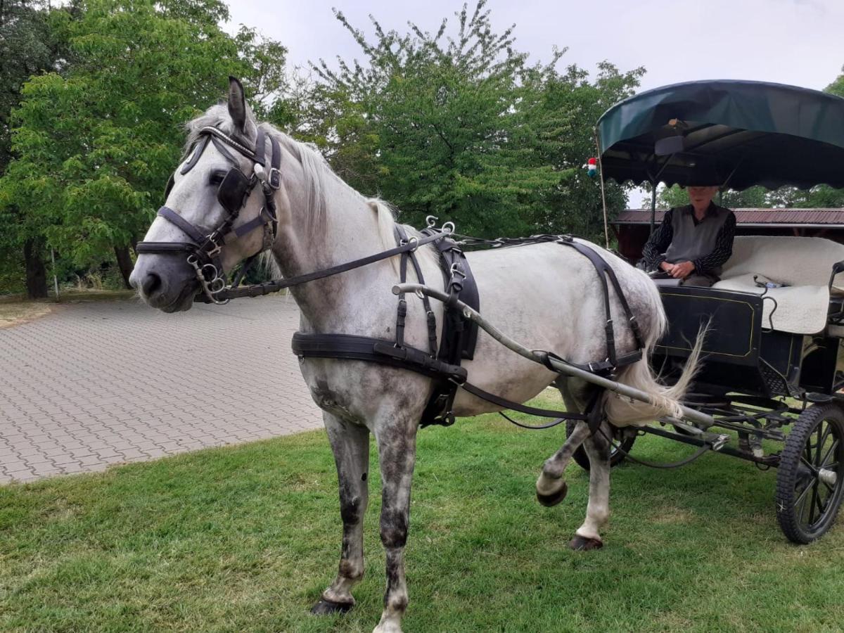 Vadaspuszta Vendeghaz Csatka Esterno foto
