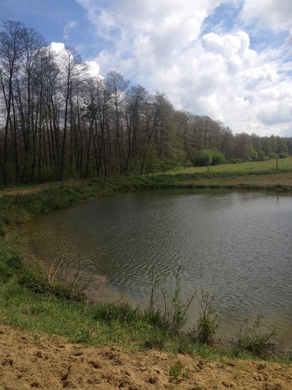 Vadaspuszta Vendeghaz Csatka Esterno foto