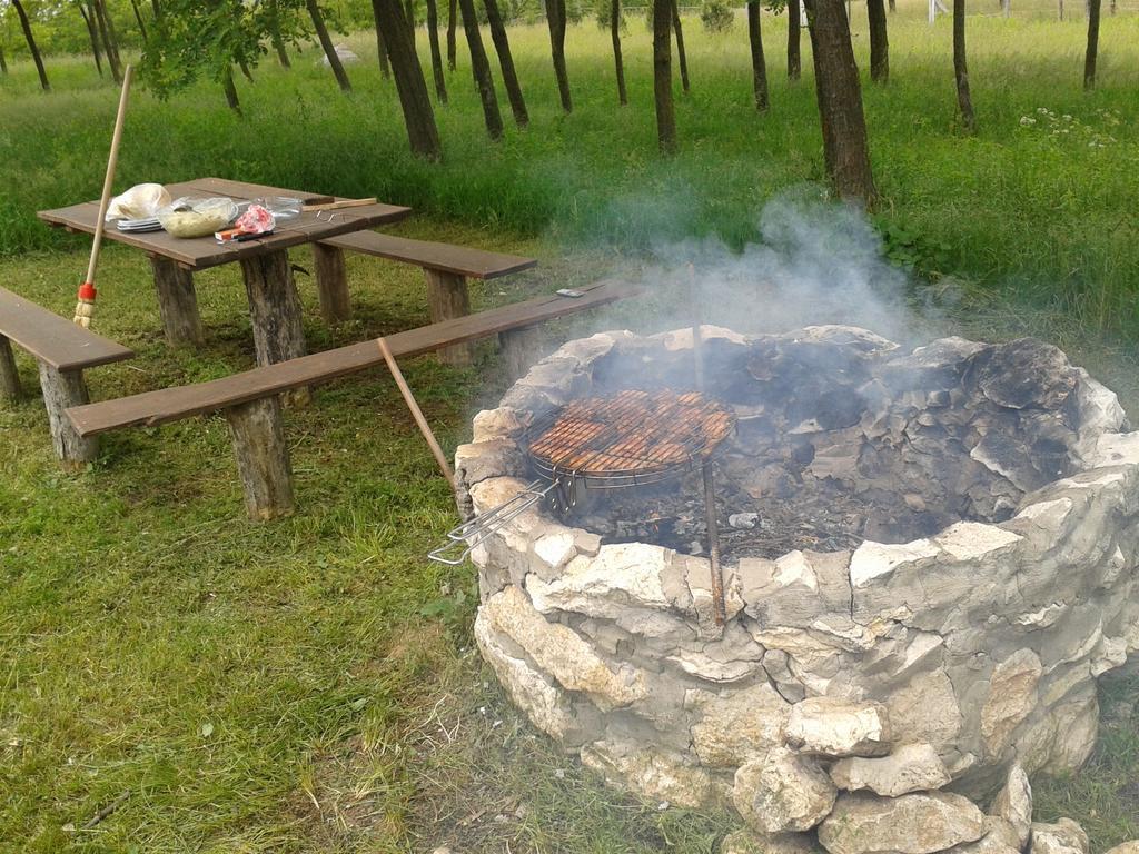 Vadaspuszta Vendeghaz Csatka Esterno foto